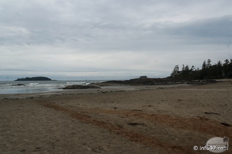 tofino-BC-ours-41.jpg
