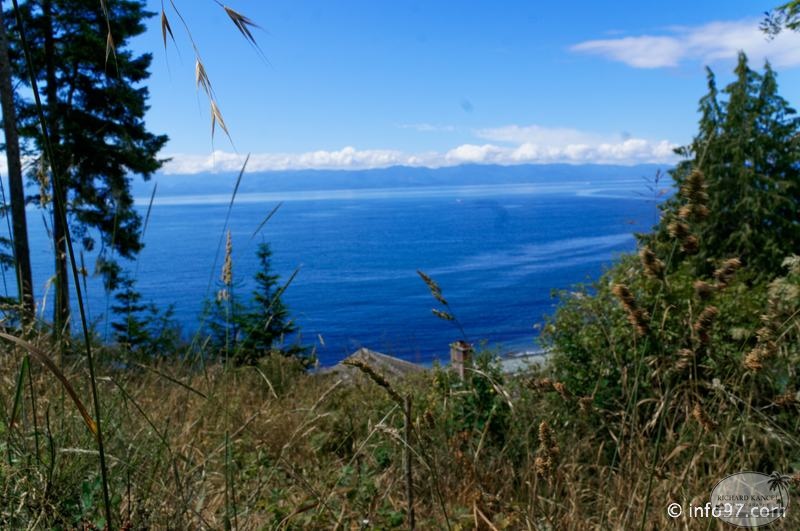 victoria-BC-china-beach-11.jpg
