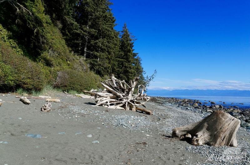 victoria-BC-china-beach-48.jpg