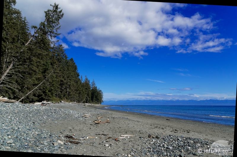 victoria-BC-china-beach-50.jpg