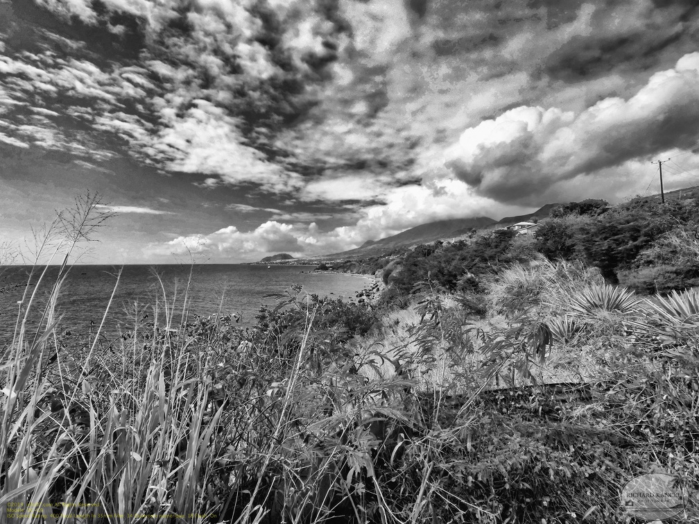 saint-kitts037.jpg