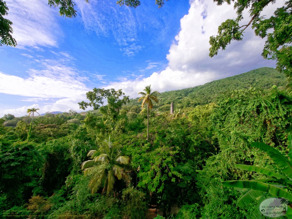 saint-kitts062.jpg