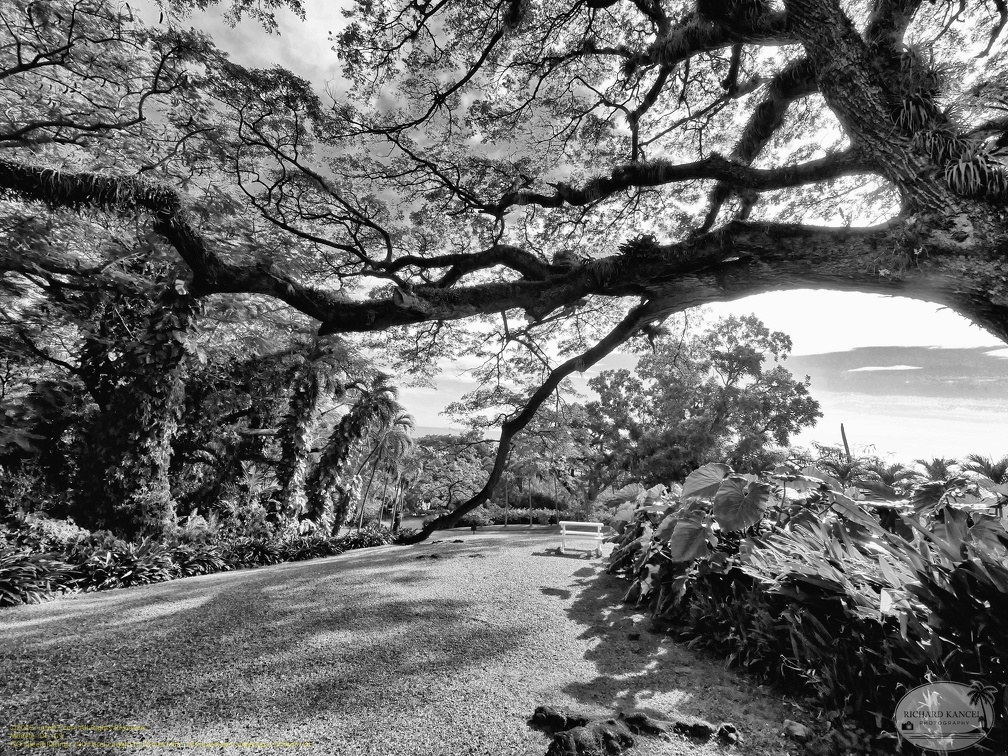 saint-kitts067.jpg