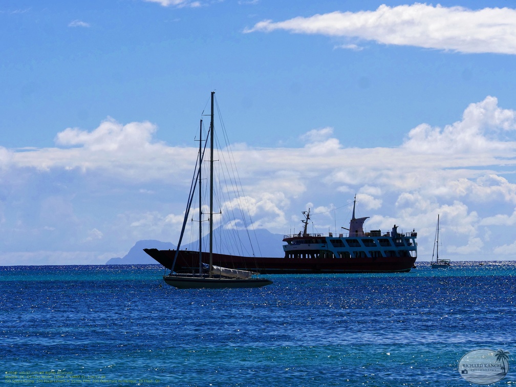 sint-marteen49.jpg