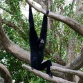 zoo-miami-09.jpg