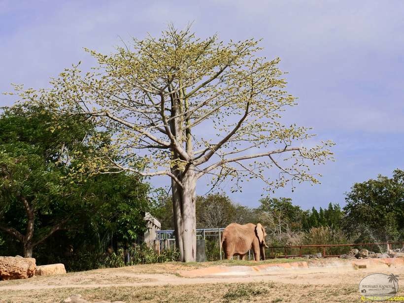 zoo-miami-45.jpg