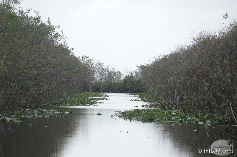 holland-america-everglades-miami-11.jpg