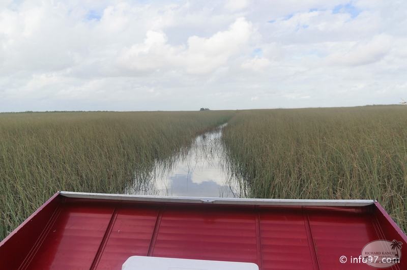 holland-america-everglades-miami-25.jpg
