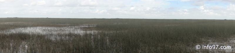 holland-america-everglades-miami-27.jpg