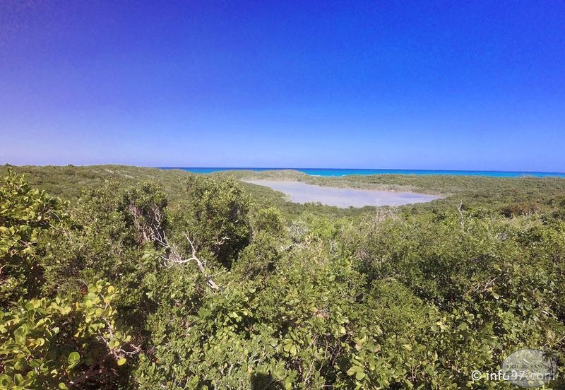 holland-america-half-moon-cay-37.jpg