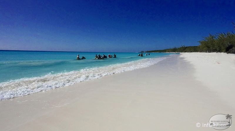 holland-america-half-moon-cay-46.jpg