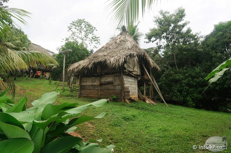 america-holland-panama-tribu-114.jpg