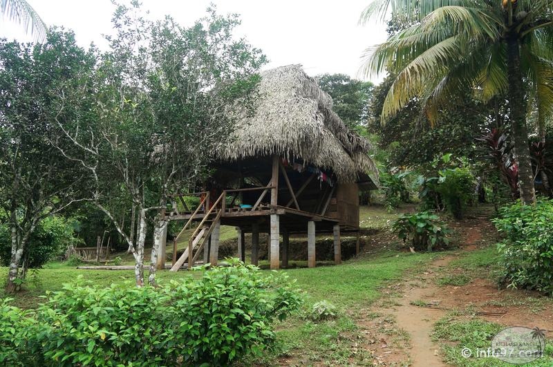 america-holland-panama-tribu-117.jpg