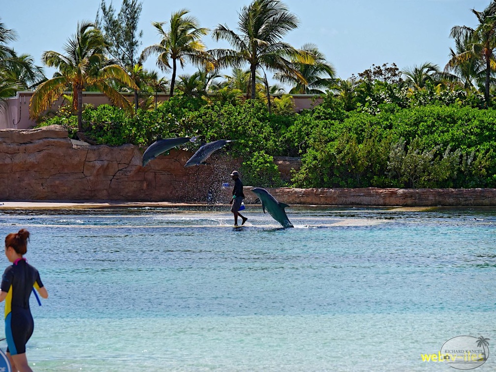 bahamas-atlantis-nassau070.jpg
