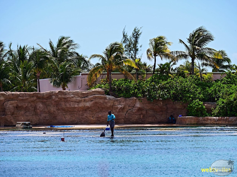 bahamas-atlantis-nassau075.jpg