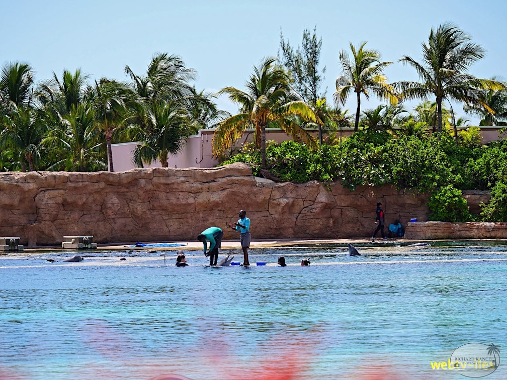 bahamas-atlantis-nassau076.jpg