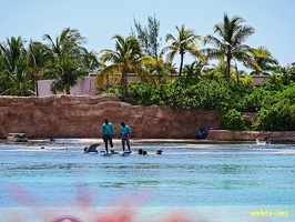 bahamas-atlantis-nassau077