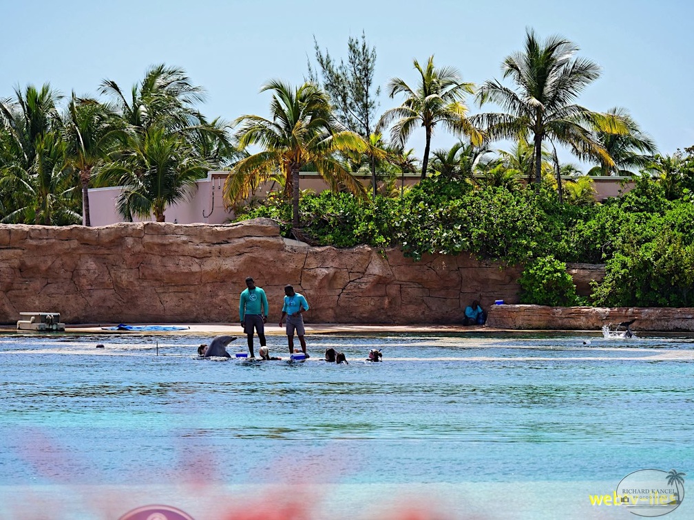bahamas-atlantis-nassau077.jpg