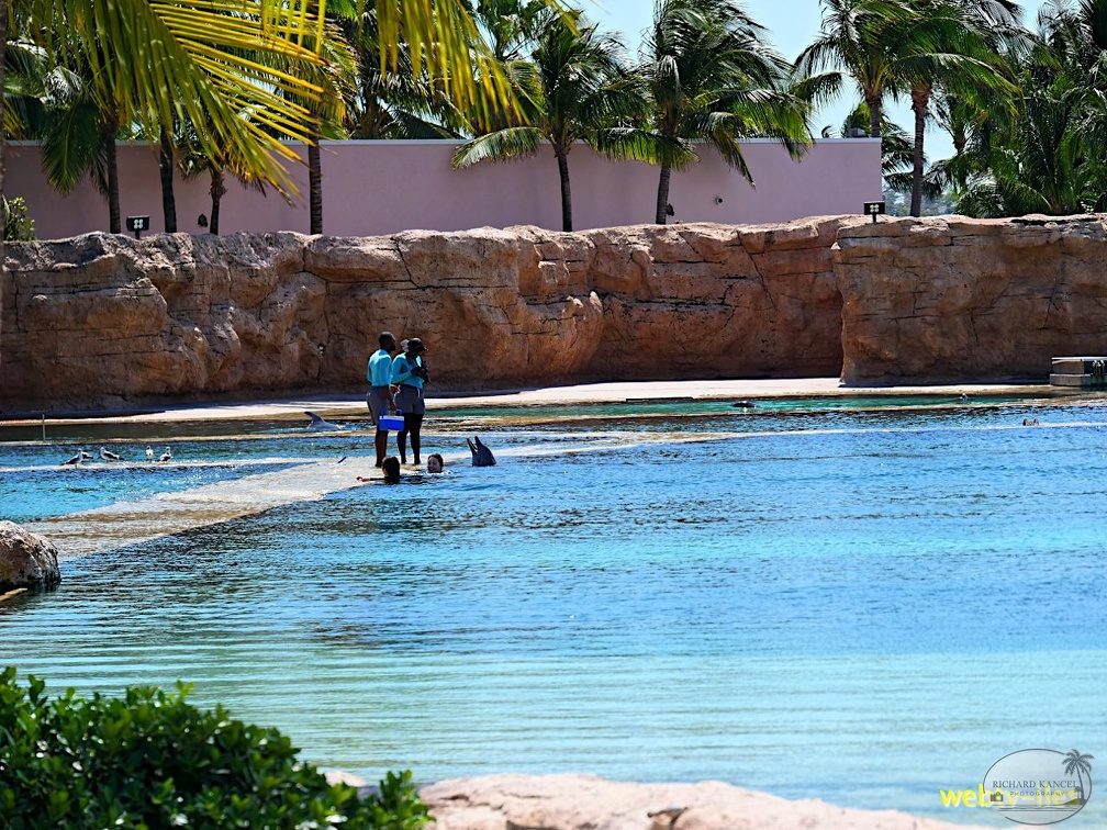 bahamas-atlantis-nassau079.jpg