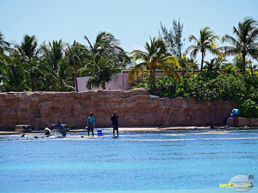 bahamas-atlantis-nassau080.jpg
