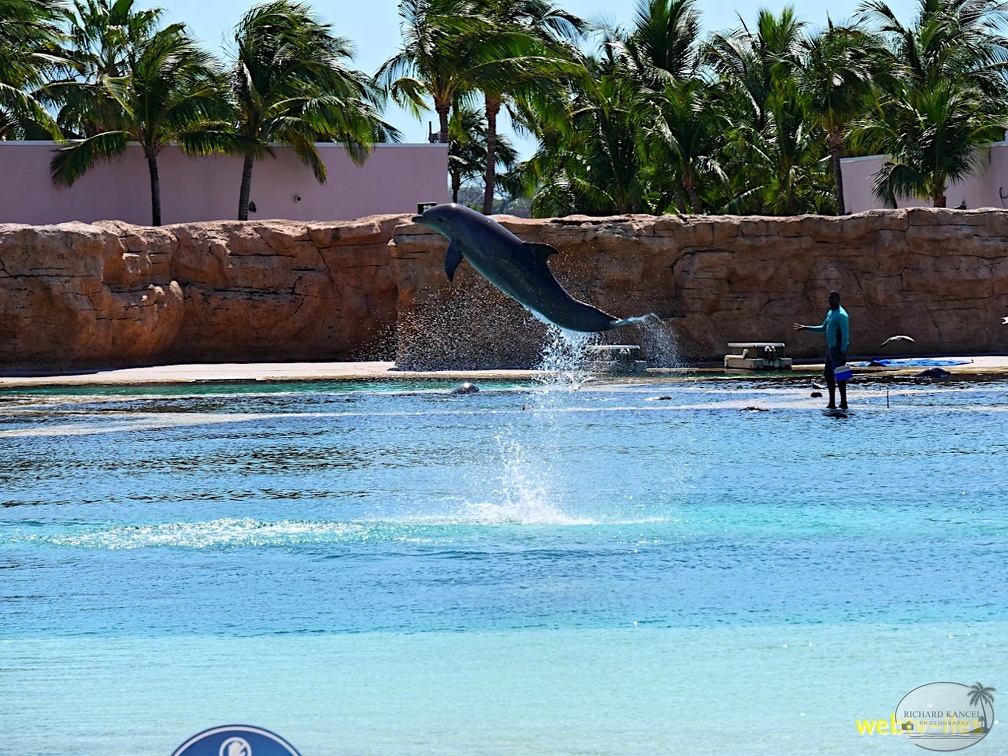 bahamas-atlantis-nassau088.jpg