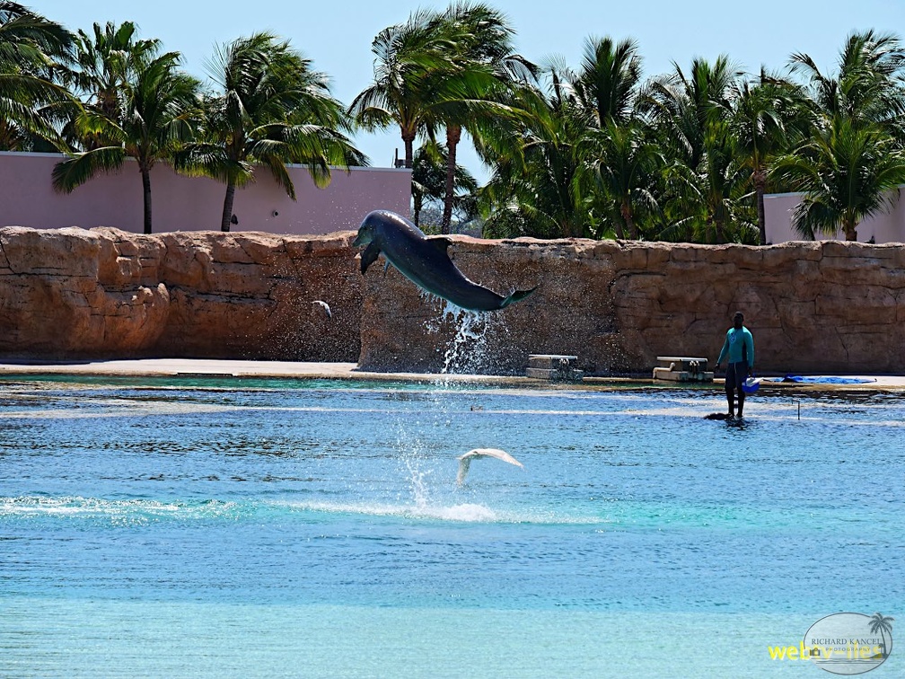 bahamas-atlantis-nassau090.jpg