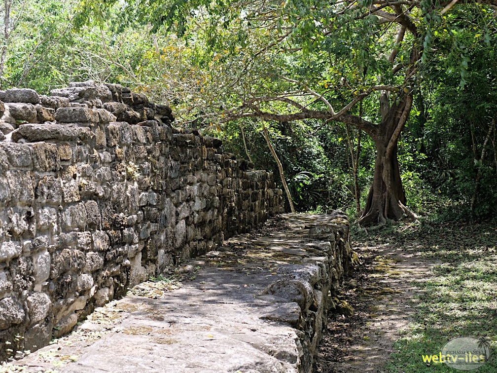 cozumel-mexique163.jpg
