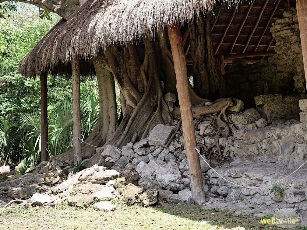 cozumel-mexique164.jpg