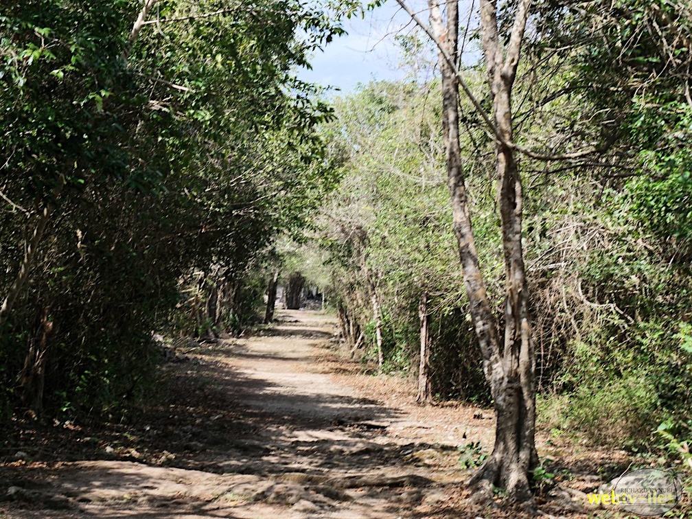 cozumel-mexique172.jpg