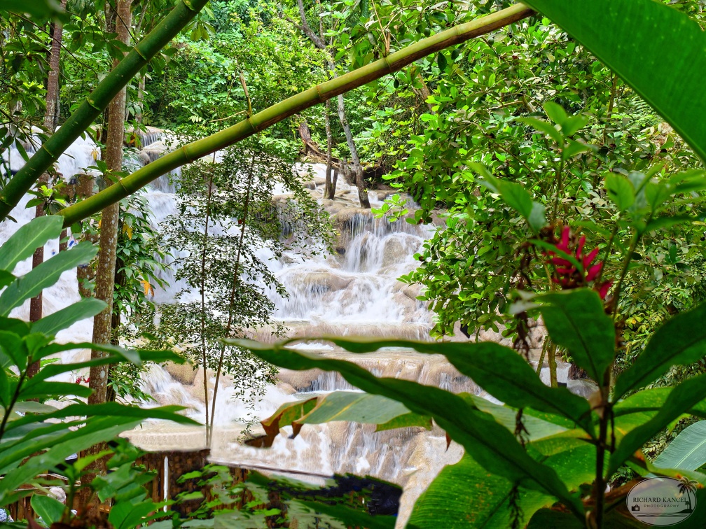 cascade11jamaique.jpg
