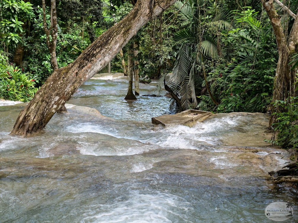 cascade2jamaique.jpg