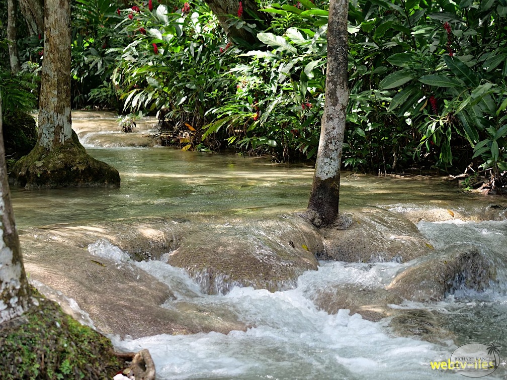 jamaique-falls206.jpg