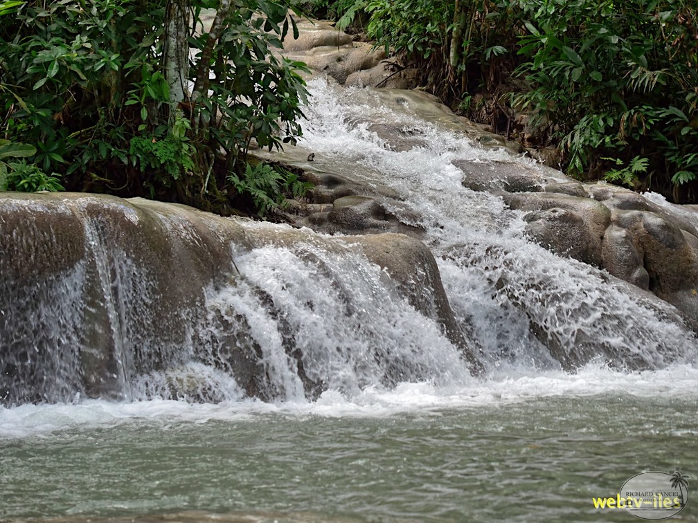 jamaique-falls208.jpg