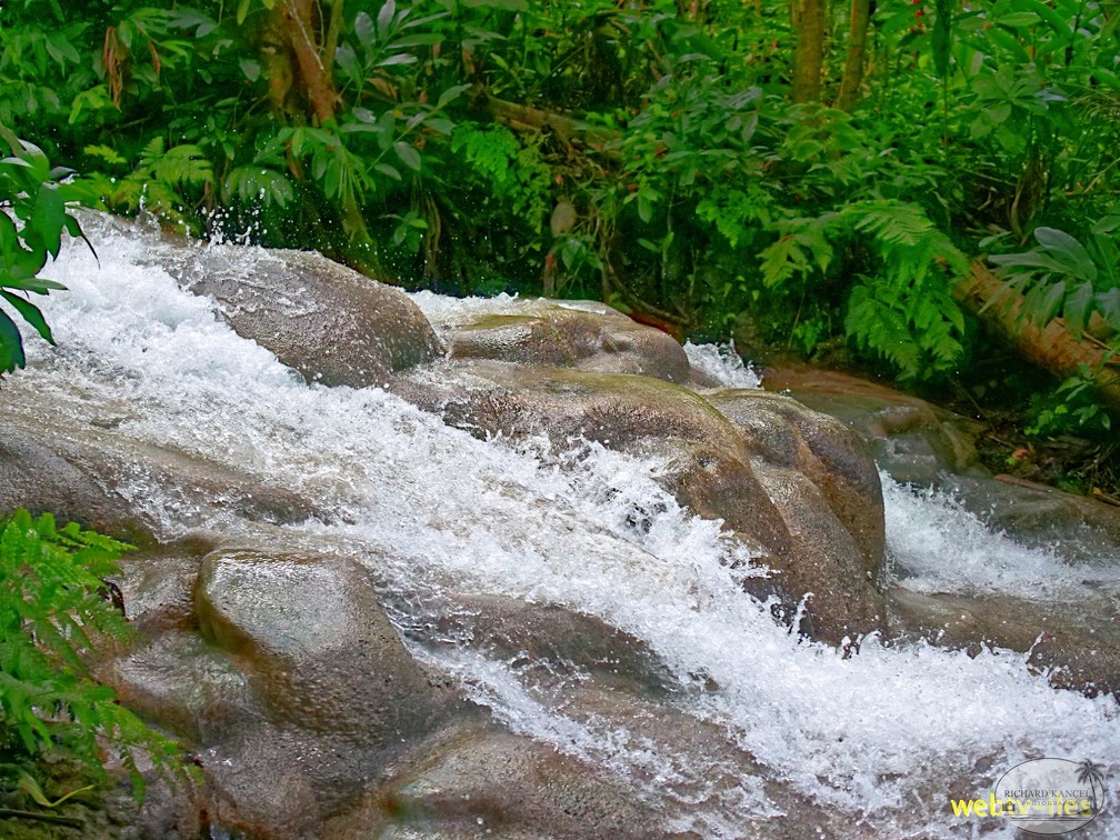 jamaique-falls214.jpg
