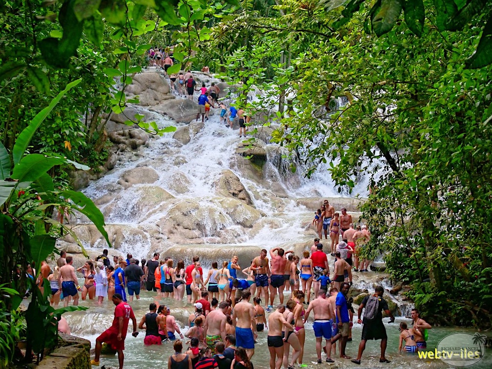 jamaique-falls222.jpg