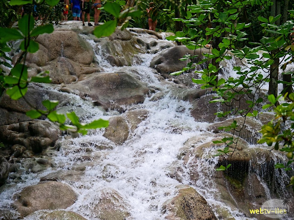 jamaique-falls223.jpg