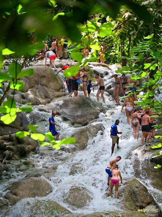 jamaique-falls228.jpg