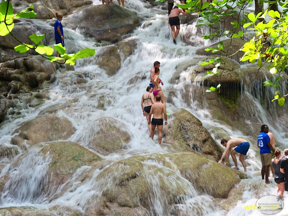 jamaique-falls231.jpg