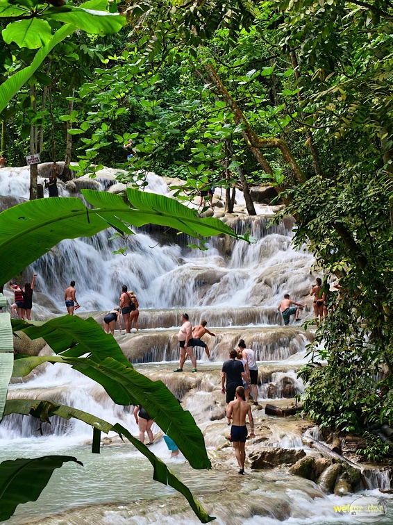 jamaique-falls232.jpg