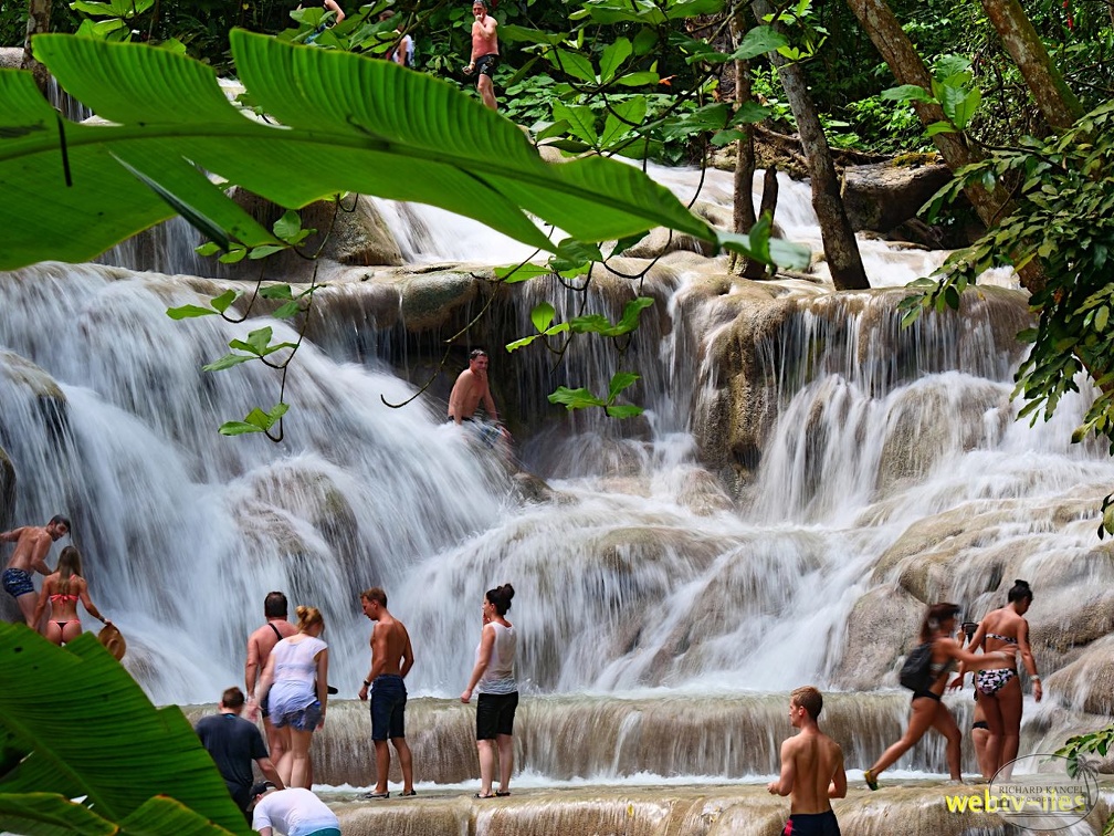 jamaique-falls233.jpg