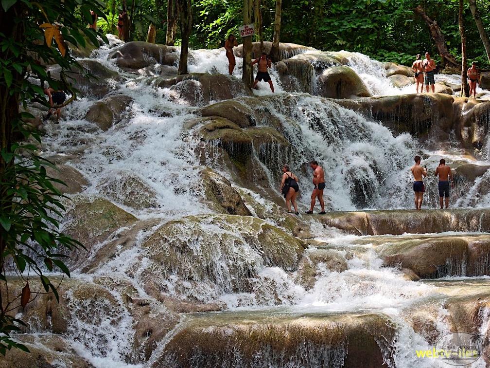 jamaique-falls238.jpg