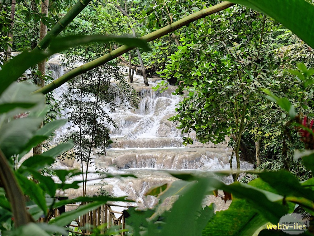 jamaique-falls272.jpg