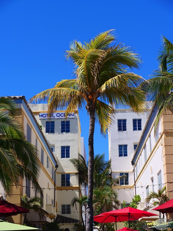 floride-miami-collins307.jpg