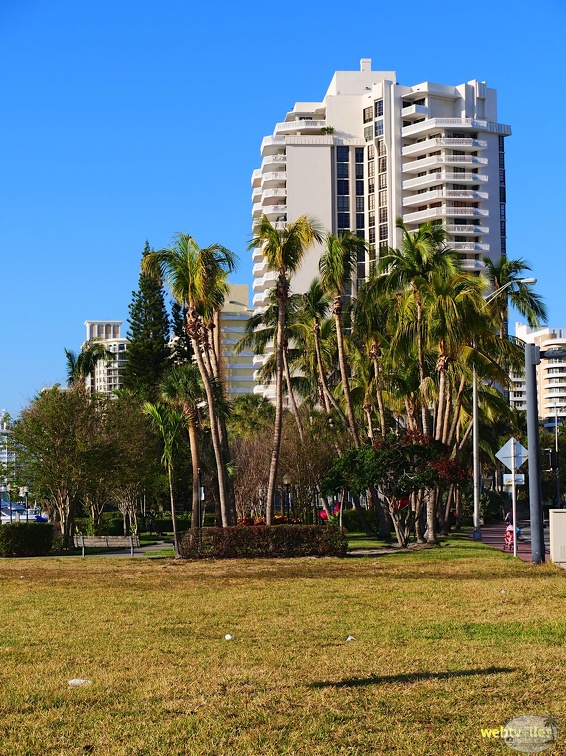 floride-miami-collins401.jpg