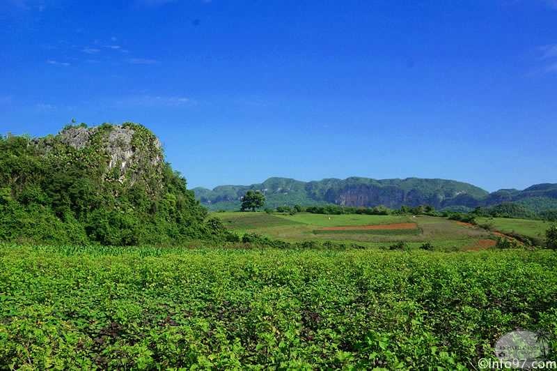 DSC08141vinales-vallee.jpg