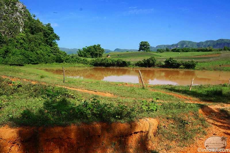 DSC08145vinales-vallee.jpg