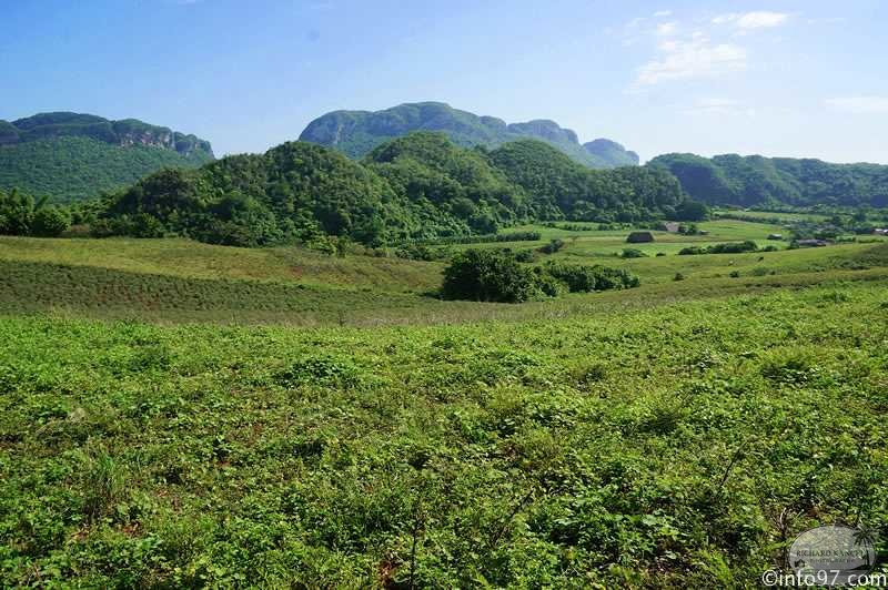 DSC08150vinales-vallee.jpg