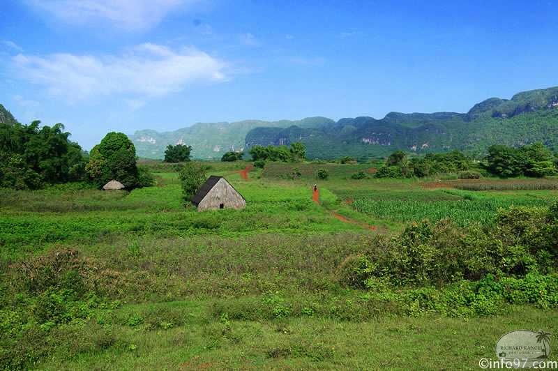 DSC08162vinales-vallee.jpg