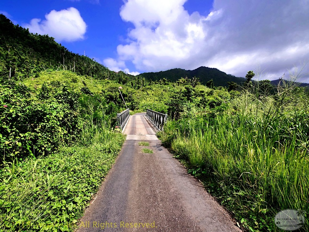 P1034998dominica-j1..jpg