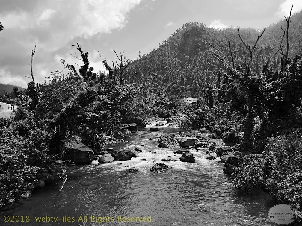 P1035001dominica-j1..jpg
